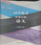 2024年同步練習(xí)配套試卷六年級語文下冊人教版