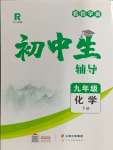 2024年本土教輔名校學(xué)案初中生輔導(dǎo)九年級(jí)化學(xué)下冊(cè)