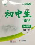 2024年本土教輔名校學(xué)案初中生輔導(dǎo)九年級(jí)數(shù)學(xué)下冊(cè)