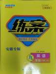 2024年練案九年級(jí)英語(yǔ)下冊(cè)人教版安徽專版