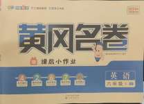 2024年黃岡名卷六年級(jí)英語(yǔ)下冊(cè)人教版