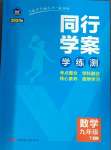 2024年同行學(xué)案學(xué)練測九年級數(shù)學(xué)下冊人教版