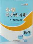 2024年同步練習(xí)冊分層指導(dǎo)五年級數(shù)學(xué)下冊人教版