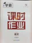 2024年經(jīng)綸學(xué)典課時作業(yè)七年級語文下冊人教版