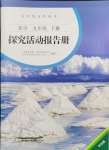 2024年探究活动报告册九年级化学下册人教版双色版