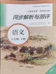 2024年人教金学典同步练习册同步解析与测评九年级语文下册人教版精编版