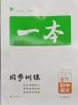 2024年一本同步訓(xùn)練八年級(jí)初中語(yǔ)文下冊(cè)人教版