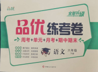 2024年品優(yōu)練考卷六年級(jí)語(yǔ)文下冊(cè)人教版