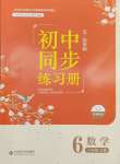 2024年同步練習冊北京師范大學出版社六年級數學下冊魯教版54制