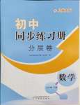 2024年同步練習(xí)冊(cè)分層卷七年級(jí)數(shù)學(xué)下冊(cè)北師大版