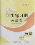 2024年同步練習(xí)冊(cè)分層卷八年級(jí)英語(yǔ)下冊(cè)人教版