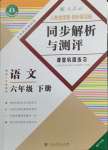 2024年人教金学典同步解析与测评六年级语文下册人教版重庆专版