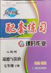 2024年名師點撥配套練習課時作業(yè)七年級道德與法治下冊人教版