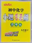 2024年初中化學(xué)小題狂做九年級(jí)下冊(cè)滬教版巔峰版