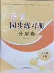 2024年同步练习册分层卷六年级语文下册人教版陕西专版