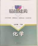 2024年精練過關四川教育出版社九年級化學下冊人教版