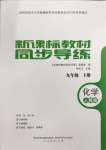 2024年新課標(biāo)教材同步導(dǎo)練九年級化學(xué)下冊人教版