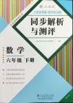 2024年人教金學(xué)典同步解析與測(cè)評(píng)六年級(jí)數(shù)學(xué)下冊(cè)人教版云南專版