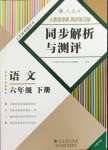 2024年人教金学典同步解析与测评六年级语文下册人教版云南专版