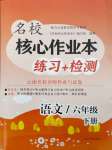 2024年名校核心作業(yè)本練習(xí)加檢測六年級語文下冊人教版