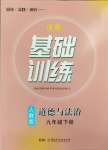 2024年同步实践评价课程基础训练湖南少年儿童出版社九年级道德与法治下册人教版