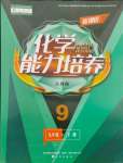 2024年新課程能力培養(yǎng)九年級化學(xué)下冊人教版