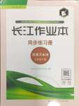 2024年長江作業(yè)本同步練習(xí)冊九年級道德與法治下冊人教版