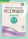 2024年长江作业本同步练习册七年级数学下册人教版