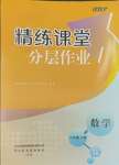 2024年精練課堂分層作業(yè)八年級數(shù)學(xué)下冊人教版臨沂專版