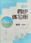 2024年同步練習(xí)冊大象出版社九年級數(shù)學(xué)下冊人教版