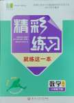 2024年精彩練習(xí)就練這一本八年級數(shù)學(xué)下冊浙教版評議教輔