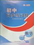 2024年同步練習(xí)冊(cè)八年級(jí)數(shù)學(xué)下冊(cè)人教版山東教育出版社