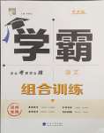 2024年學霸組合訓練語文中考人教版揚州專版