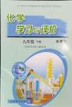 2024年化學(xué)學(xué)習(xí)與評價九年級下冊魯教版山東教育出版社