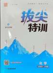 2024年拔尖特訓(xùn)九年級(jí)化學(xué)下冊(cè)滬教版