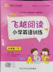 2024年飛越閱讀小學(xué)英語(yǔ)訓(xùn)練六年級(jí)數(shù)學(xué)下冊(cè)外研版