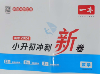 2024年一本小升初冲刺新卷数学