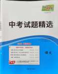 2024年天利38套中考試題精選語文武漢專版