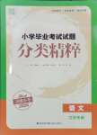 2024年通城學(xué)典小學(xué)畢業(yè)考試試題分類精粹語文江蘇專版