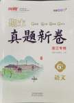 2024年期末真題新卷六年級(jí)語(yǔ)文下冊(cè)人教版浙江專版