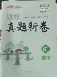 2024年期末真題新卷六年級(jí)數(shù)學(xué)下冊(cè)人教版浙江專版