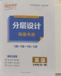 2024年陽光同學分層設計九年級英語全一冊人教版福建專版