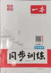 2024年一本同步訓(xùn)練九年級(jí)初中數(shù)學(xué)上冊(cè)人教版安徽專版