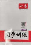 2024年一本同步訓(xùn)練九年級(jí)初中物理上冊(cè)滬粵版