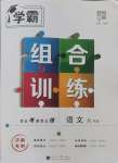 2024年學霸組合訓練九年級語文全一冊人教版濟南專版
