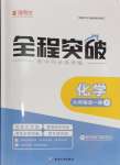 2024年全程突破九年级化学全一册人教版