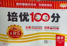 2024年王朝霞培优100分六年级语文上册人教版