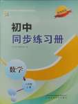 2024年同步練習冊山東科學技術(shù)出版社八年級數(shù)學上冊魯教版五四制