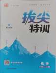 2024年拔尖特訓(xùn)九年級(jí)化學(xué)上冊(cè)人教版