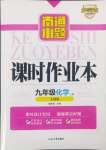 2024年南通小題課時作業(yè)本九年級化學上冊人教版